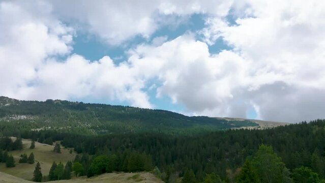 Valley of pine and clouds cumulus fractus