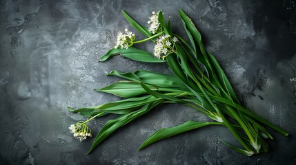 Wild garlic recipes, food photography, copy and text space, 16:9 - obrazy, fototapety, plakaty