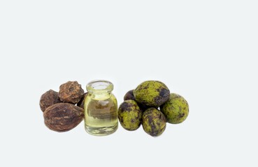 Terminalia Chebula Oil with Raw and Dry Haritaki Fruit Isolated on White Background with Copy Space, Also Known as Harad or Chebulic Myrobalan, Ayurvedic Medicinal Herbs