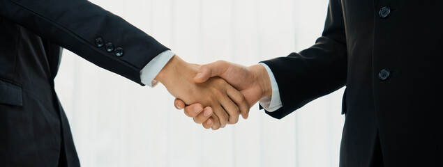 Two business executive shake hand in boardroom, sealing agreement merging two company. Handshake...