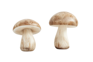 
Champignon mushrooms isolated on white background.First person view in realistic daylight