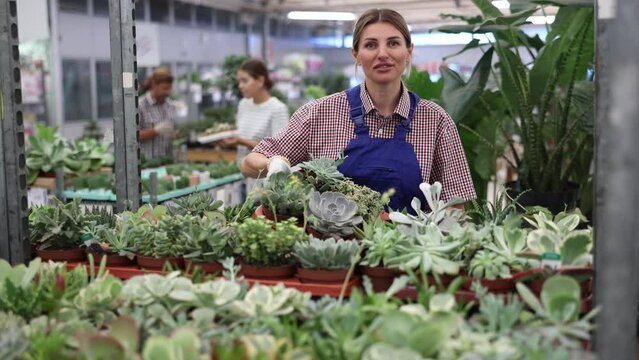 Female flower supermarket worker examines pallet of succulent to detect problematic plants. New employee of department of ornamental plants to get acquainted with assortment of goods