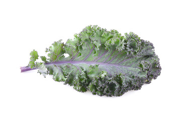 Fresh purple kale leaves isolated on white background