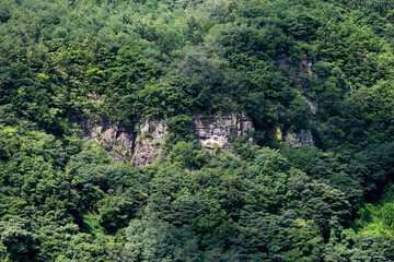 Fototapeta na wymiar View of the green cliff in summer