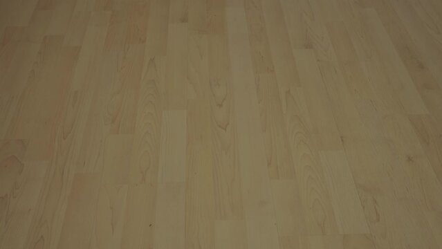 Close up of light beige parquet or vinyl floor made from ash planks in empty room, top view