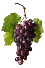 Fototapeta premium Fresh Dark Grapes Cluster with Lush Green Leaves on White