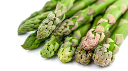 Fresh Asparagus Bunch Isolated on White Background