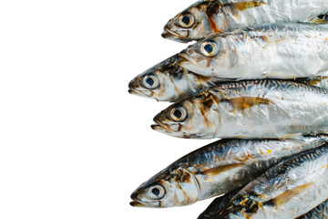 Obraz premium Herring fish isolated on a white background Real daytime first person perspective