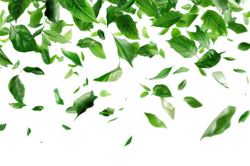 
Green flying leaves isolated on white background, first person view in realistic daytime