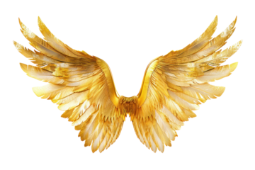 
Golden wings isolated on white background. Realistic daytime first person perspective