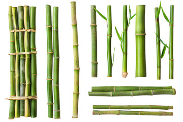 
Collection bamboo isolated on white background Real daytime first person perspective