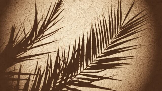 plant shade over wall moving from summer breeze , looping sequence 3d rendering animation gold background