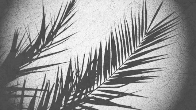 plant shade over wall moving from summer breeze , looping sequence 3d rendering animation grey background lighting