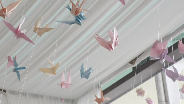 Wide shot of colourful pastel origami paper crane birds floating in breeze, hung from roof, blue, yellow, pink and orange. Slow motion footage on white backdrop.