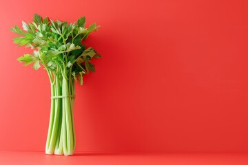Bunch of Celery on Table