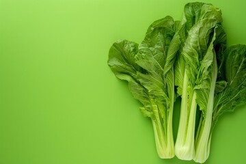A Bunch of Lettuce on a Green Background