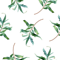 Watercolor botanical seamless pattern with sea buckthorn leaves branches. Hand drawn illustration on isolated background for wrapping wallpaper fabric textile