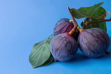 Figs and Leaves on Blue Background