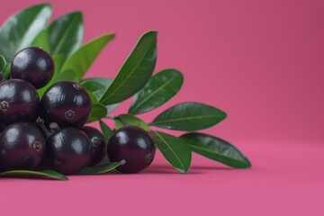 Pile of Black Berries on Pink Surface
