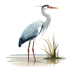 A graceful heron illustration with long legs and el