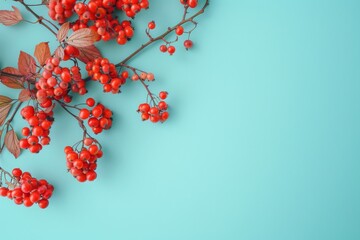 Red Berries on Blue Background - Powered by Adobe