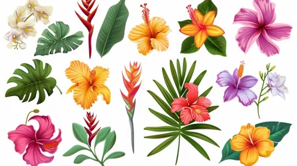  Isolated modern elements of tropical flowers on white background. © Mark