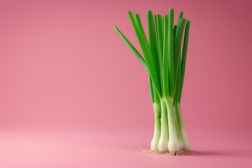 Green Onions on Pink Background