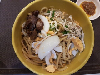 Stir-fried chinese noodles with chicken. Chicken noodle soup with noodles, meat, parsley and vegetables in a white plate bowl.