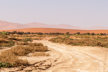 Impression of the massive sanddunes that comprise the Sossusvlei of western Namibia