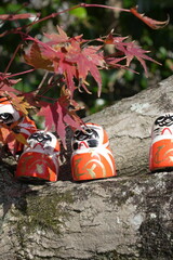 Japanese traditional dharma dolls