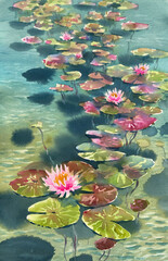 Water lilies in the pond watercolor background