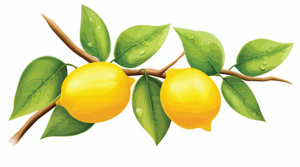 A lemon tree branch with two yellow lemons and green - obrazy, fototapety, plakaty