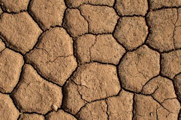 dry cracked earth