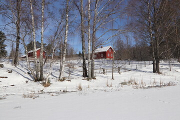 Naklejka premium Winter