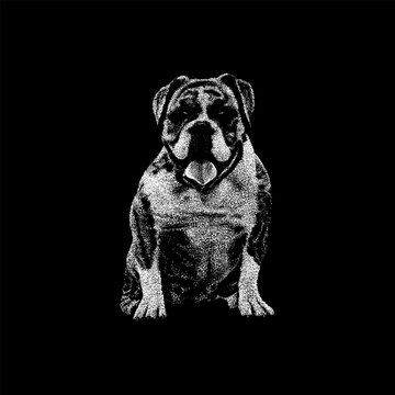 Beabull hand drawing vector isolated on black background.