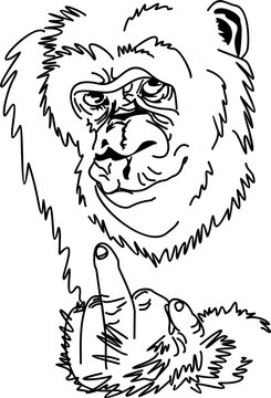 the monkey tingles the middle finger of his hand