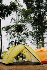 A yellow tent like lemon lime stood firmly on the camping site against a backdrop of trees and a slightly cloudy sky, along with an orange tent behind it