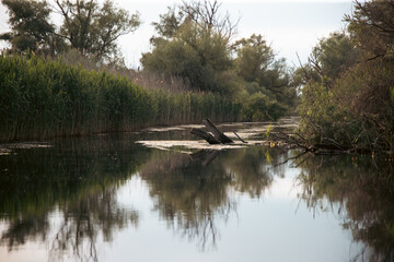 Fototapeta na wymiar Danube Delta UNESCO Site in Romania