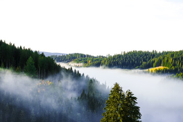 Autumnal landscape in the Black Forest. Nature in the morning with low lying clouds in the valley.
