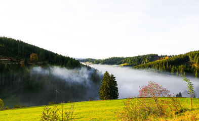 Autumnal landscape in the Black Forest. Nature in the morning with low lying clouds in the valley.

