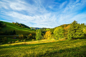 Obraz premium Autumnal landscape in the Black Forest. Nature with forests, hills and fields. 