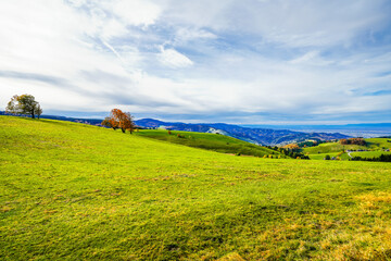 Autumnal landscape in the Black Forest. Nature with forests, hills and fields.
