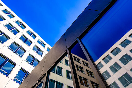 typical windows at a modern office building