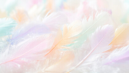 Background image of a large number of feathers in pastel rainbow colors - obrazy, fototapety, plakaty