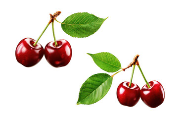 cherries on a white background