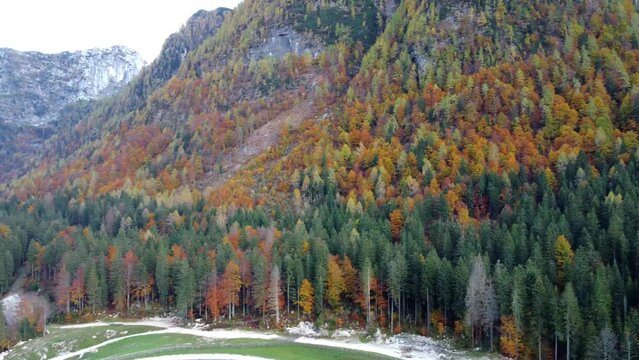 Sella Nevea and its woods dressed in autumn