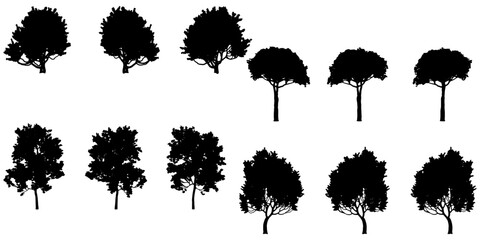Set Of Silhouette Trees - Flowers and Leaves Silhouette Vector EPS10 - obrazy, fototapety, plakaty