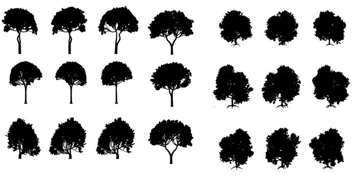 Set Of Silhouette Trees - Flowers and Leaves Silhouette Vector EPS10