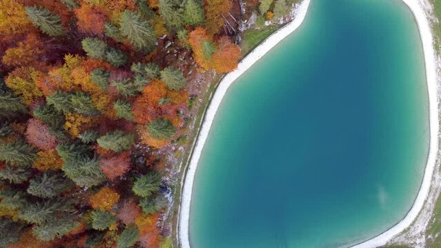 Sella Nevea and its woods dressed in autumn