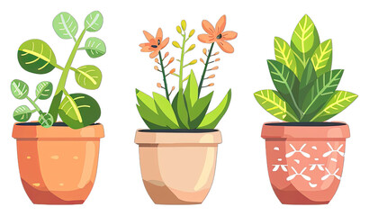 Varied Size Ceramic Flower Pots Gardening Decor. Isolated on a Transparent Background. Cutout PNG.